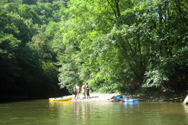 Kayak